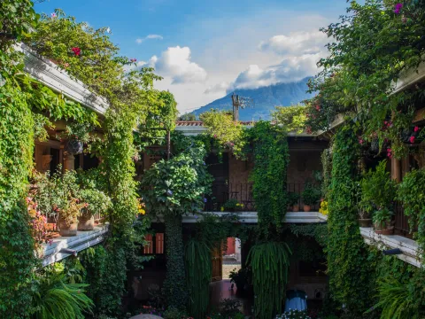 Hotel Genessis