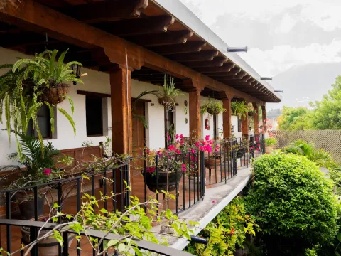 Naif Boutique Hotel & Gallery