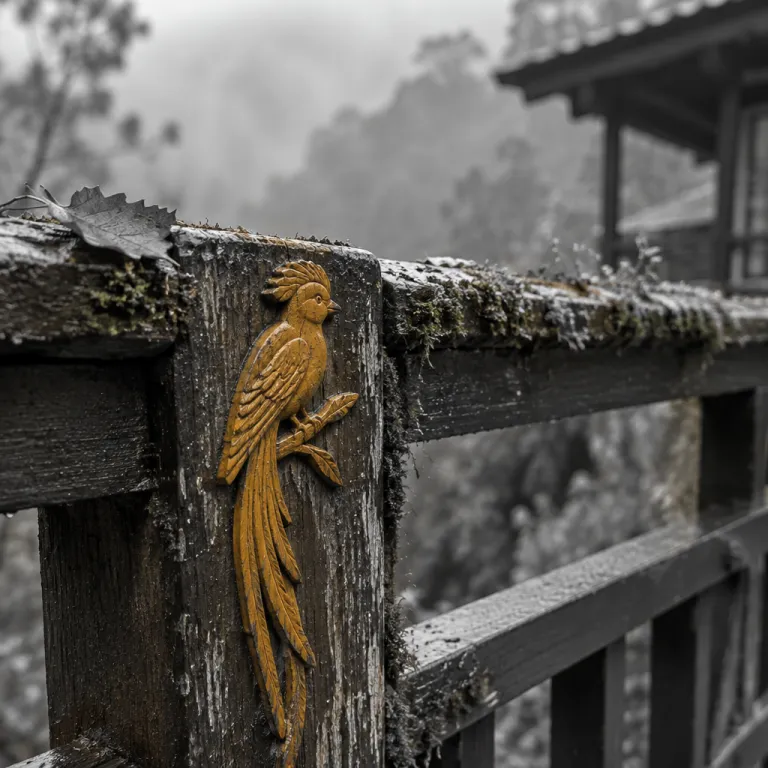 Chasing the quetzal: the cloud-forest lodges where families actually see one